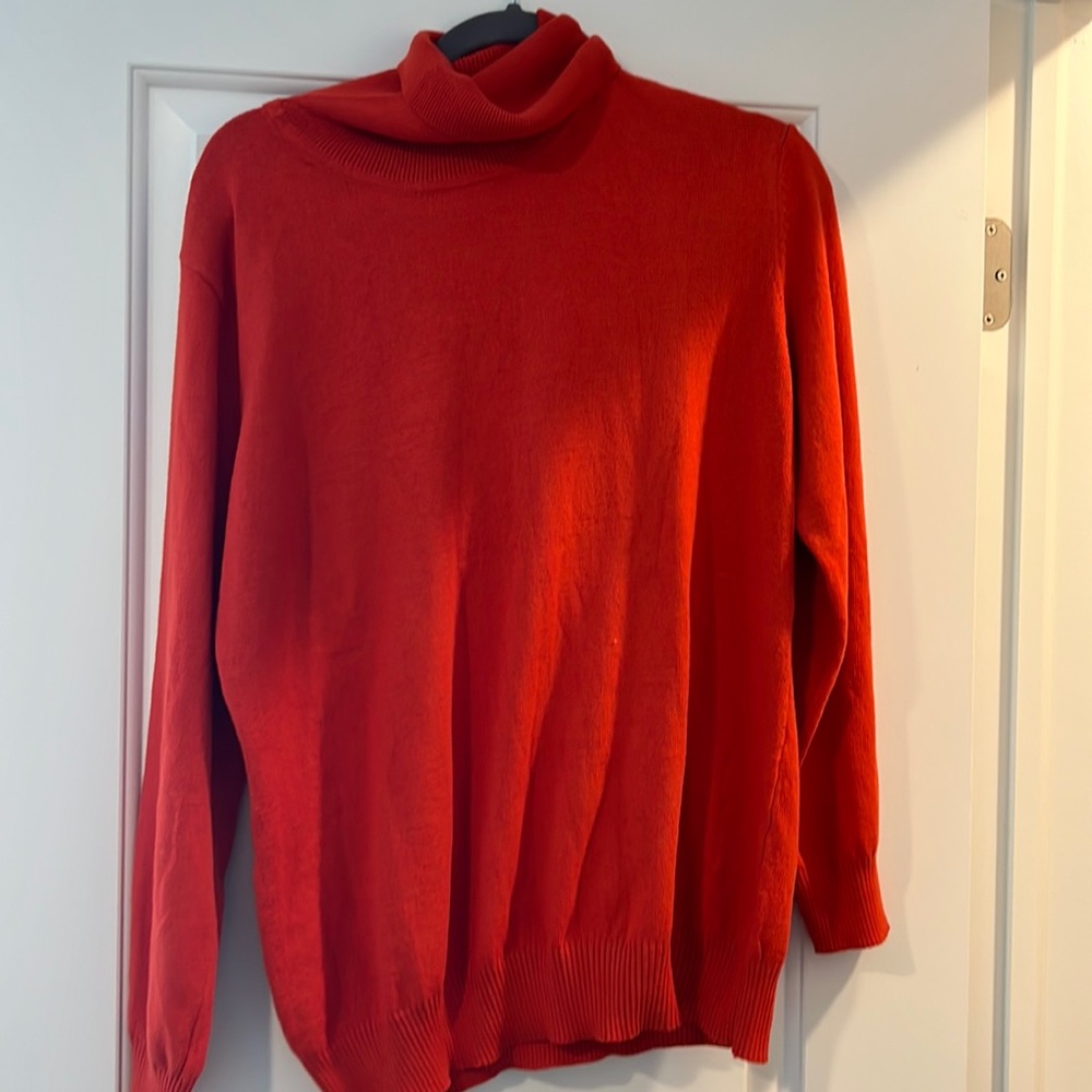 2/$20 Burnt Orange turtle neck